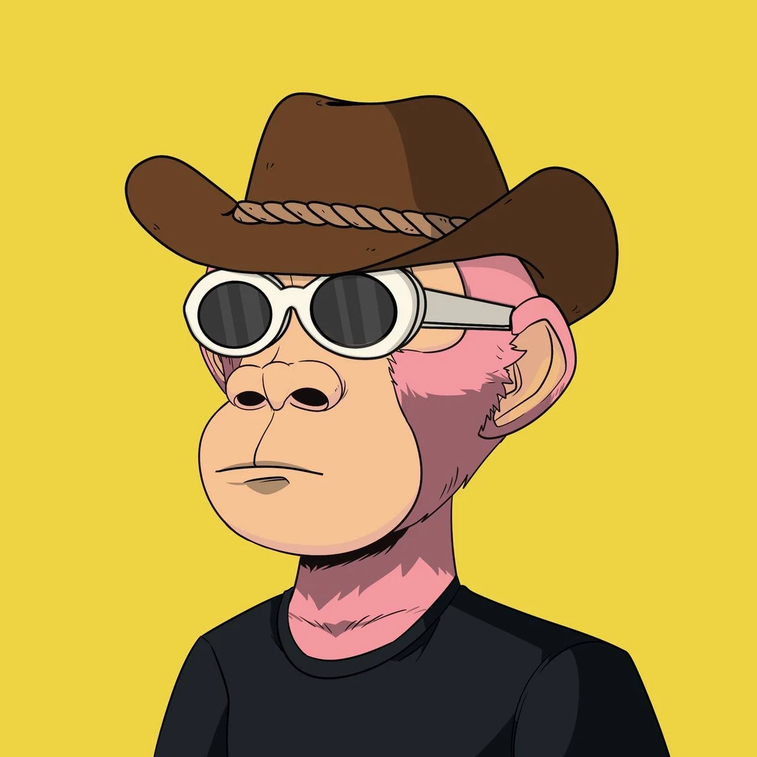 Ape Dynasty sneak peek 2: an ape in a brown cowboy hat and white sunglasses, on a yellow background
